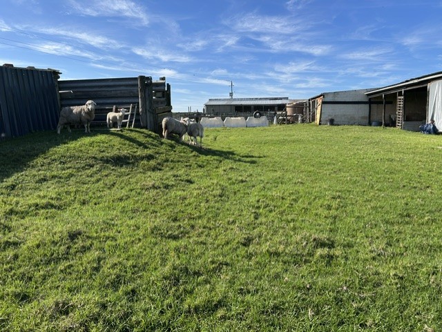 Commercial Property for Sale in George Rural Western Cape